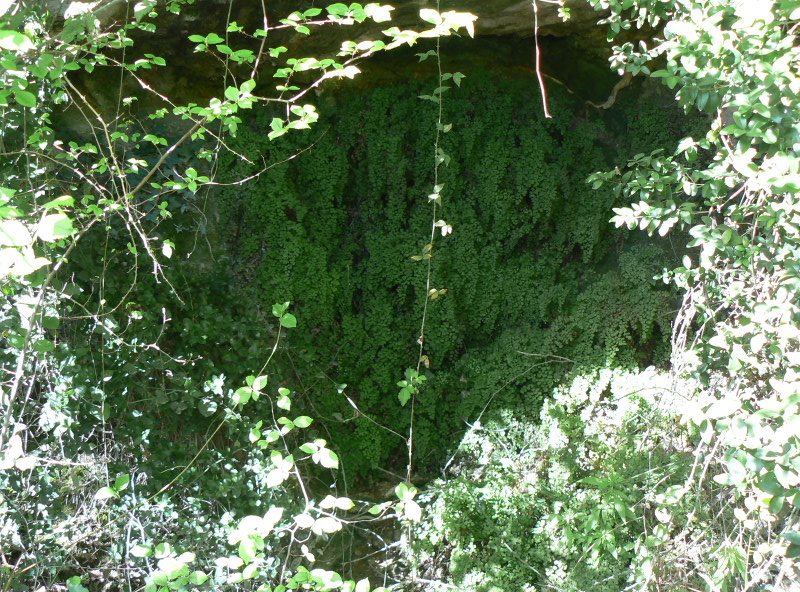 2008_0413 Minerve (19)