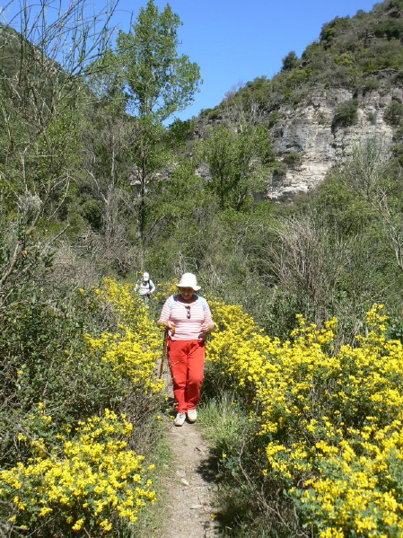 2008_0413 Minerve (34)