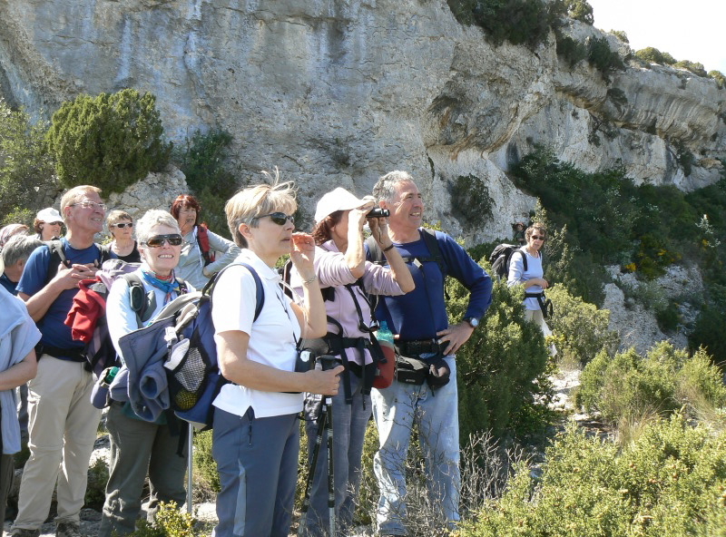 2008_0413 Minerve (53)