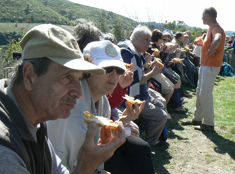2008_0413 Minerve (57)