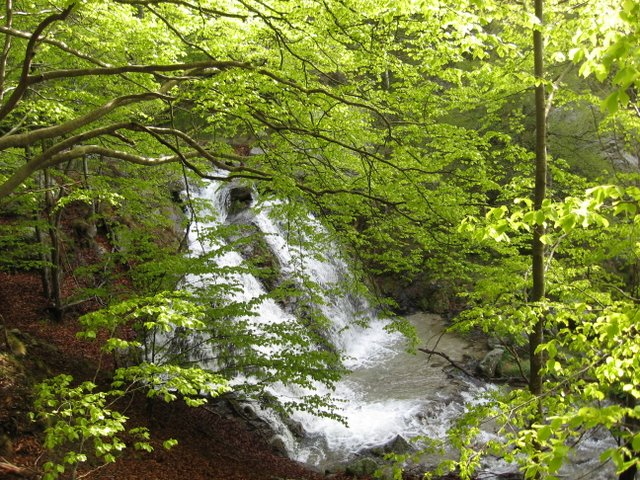 03la cascade du Cal Cabous.jpg