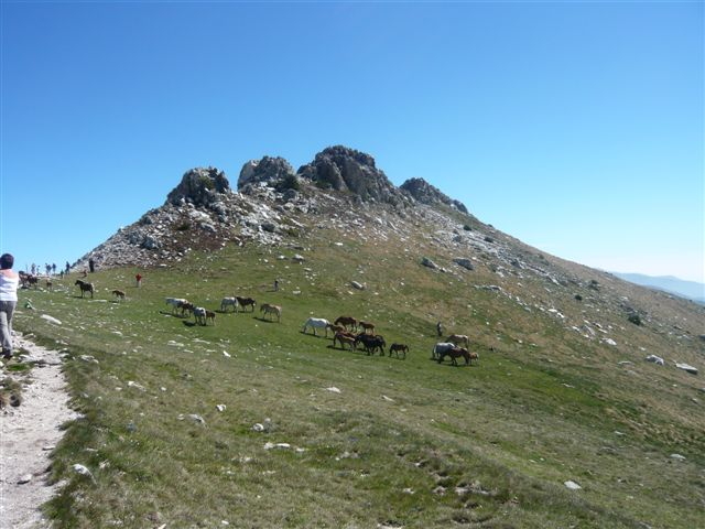 arrivée des premiers