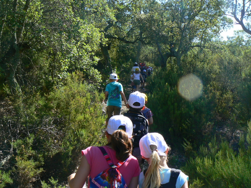 _1060076 - Copie (6) - Copie