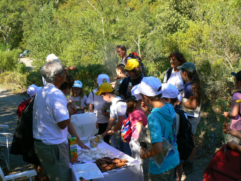 _1060068 - Copie (10) - Copie