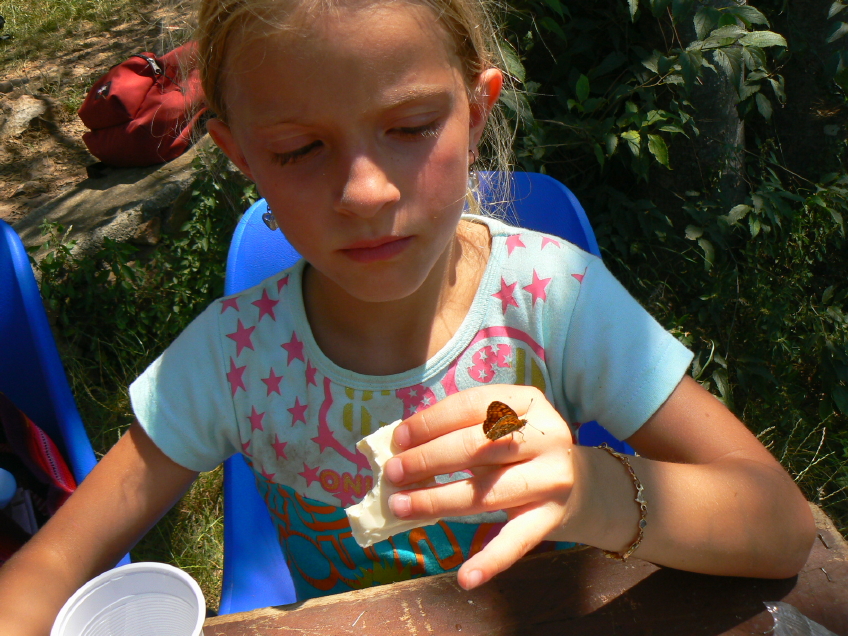 _1060113 - Copie (3) - Copie