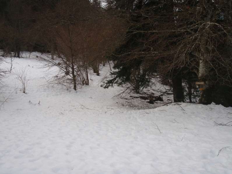 st martin pierre lys 003