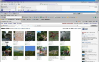 picasaweb11
