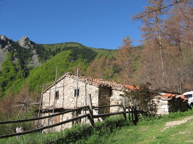 01 Mas Cal CABOUS.jpg