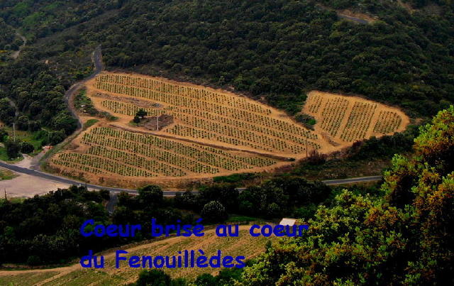 Balcon de Fenouillèdes 025c