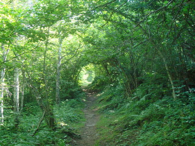 1-J1_Sentier du GR107C