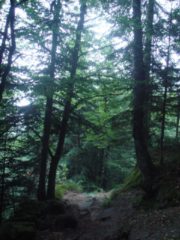 1-J2_GR10 vers etang de Comte