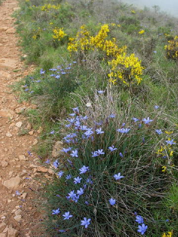 Ste Colombe Castelnou 004