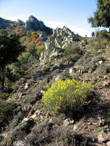 Pic Sant Cristau 006