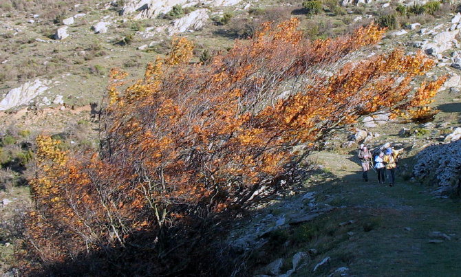 Pic Sant Cristau 014