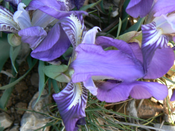 Rando2008_0316(039)