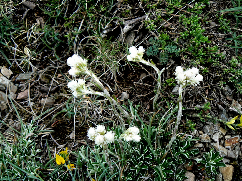 P1050580