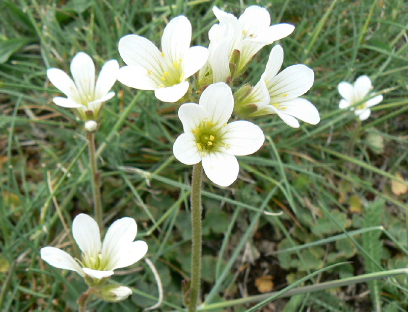 P1050598