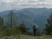 P1050565