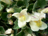 P1050568