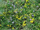 P1050578
