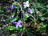 P1050574