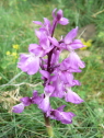 P1050594