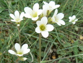 P1050598