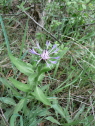 P1050600