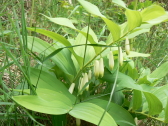 P1050608