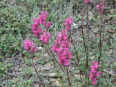P1050613