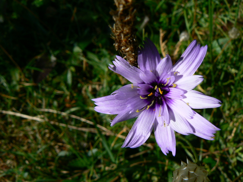 P1070194