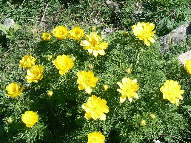 Rando2007_0621BS